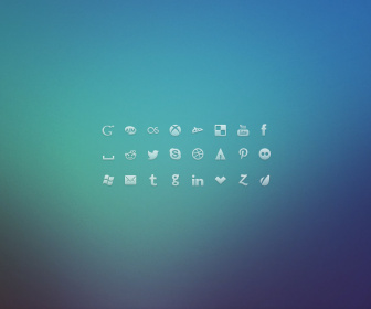24 Social Network Glyph Icons